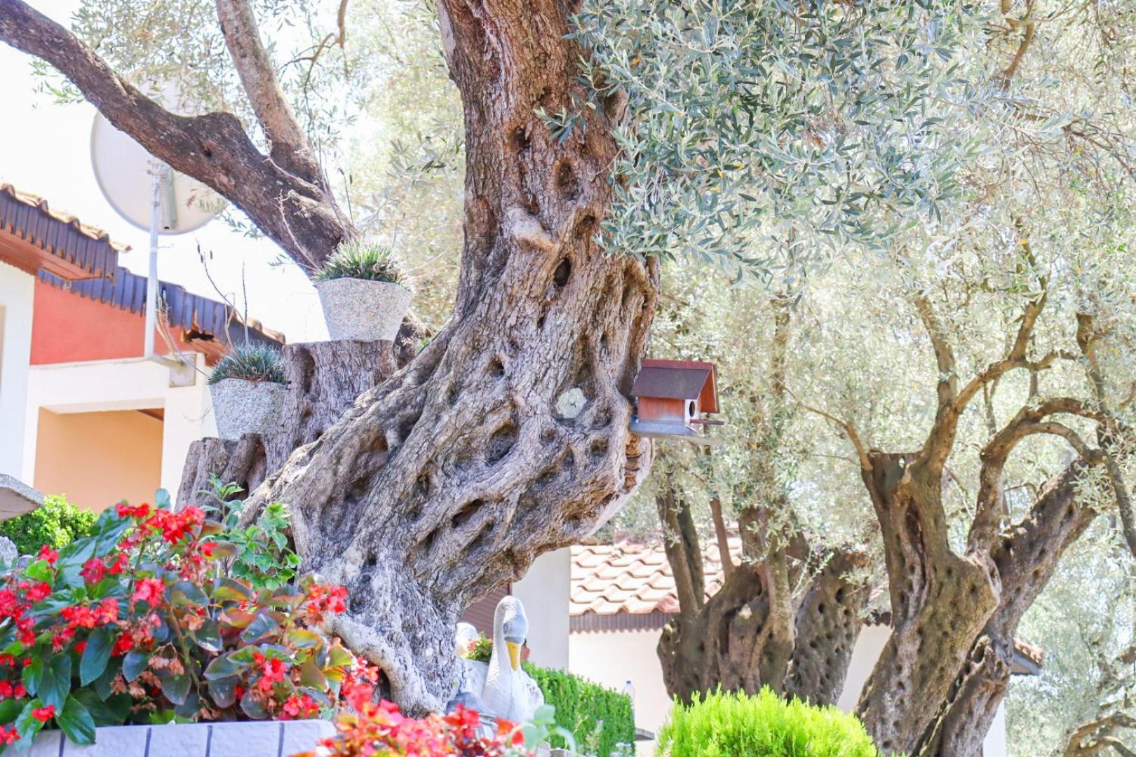 Hilja'S Oliven Garden Bungalows أولتْسي المظهر الخارجي الصورة