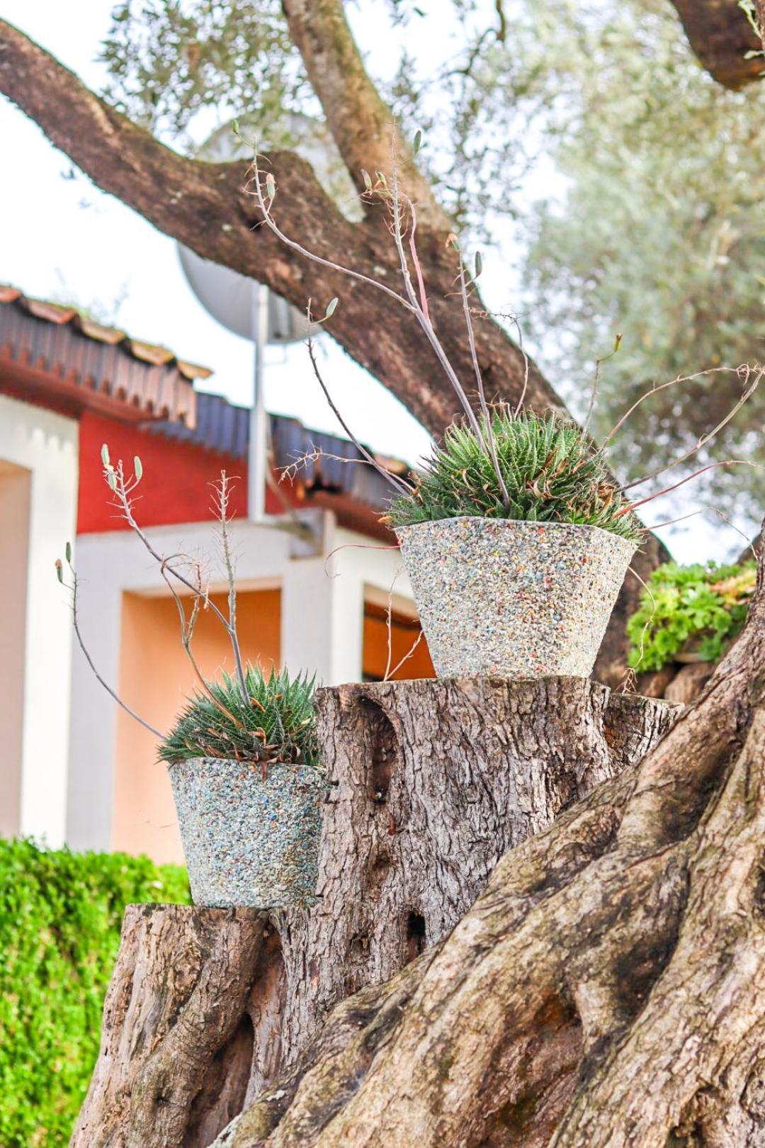 Hilja'S Oliven Garden Bungalows أولتْسي المظهر الخارجي الصورة