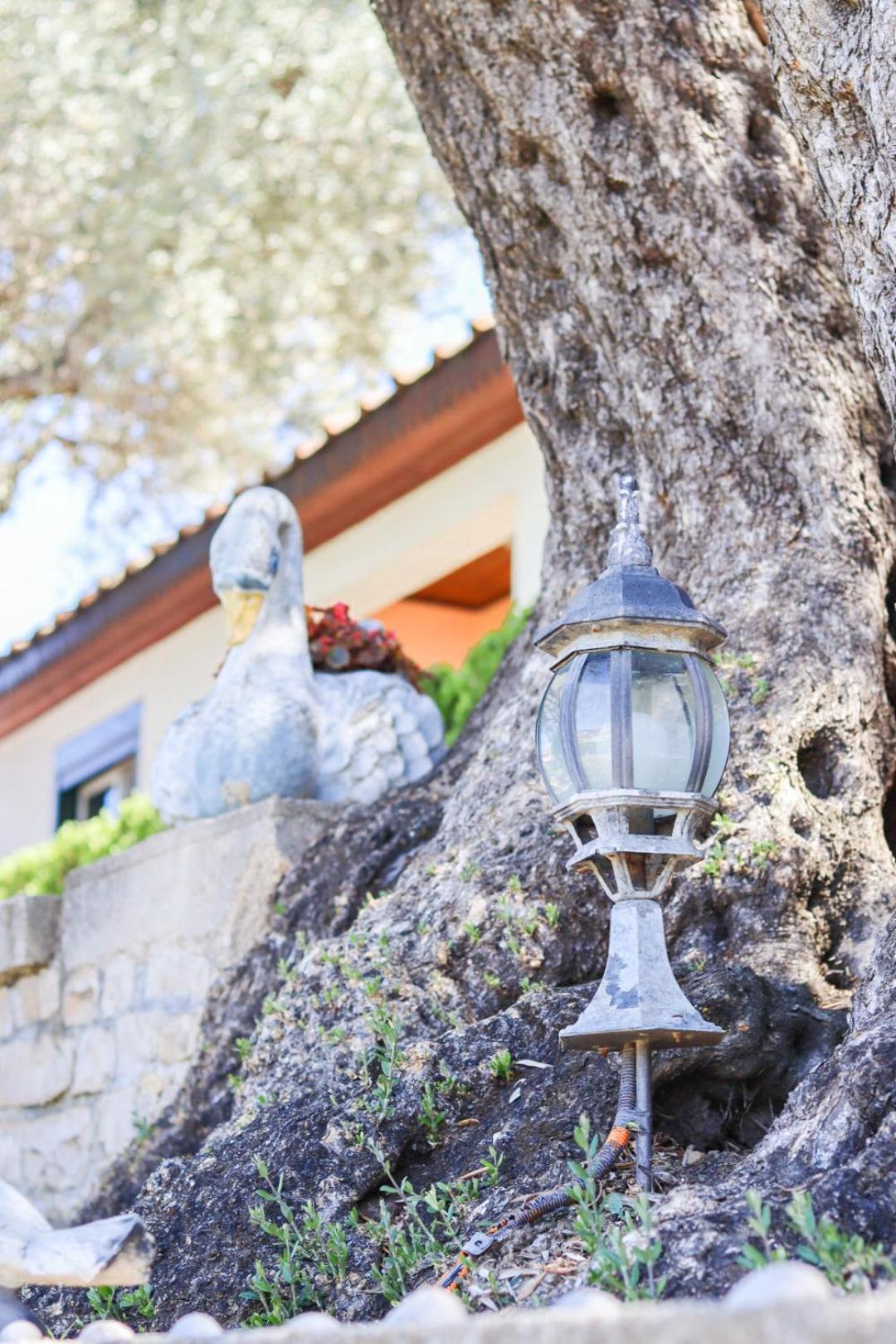 Hilja'S Oliven Garden Bungalows أولتْسي المظهر الخارجي الصورة