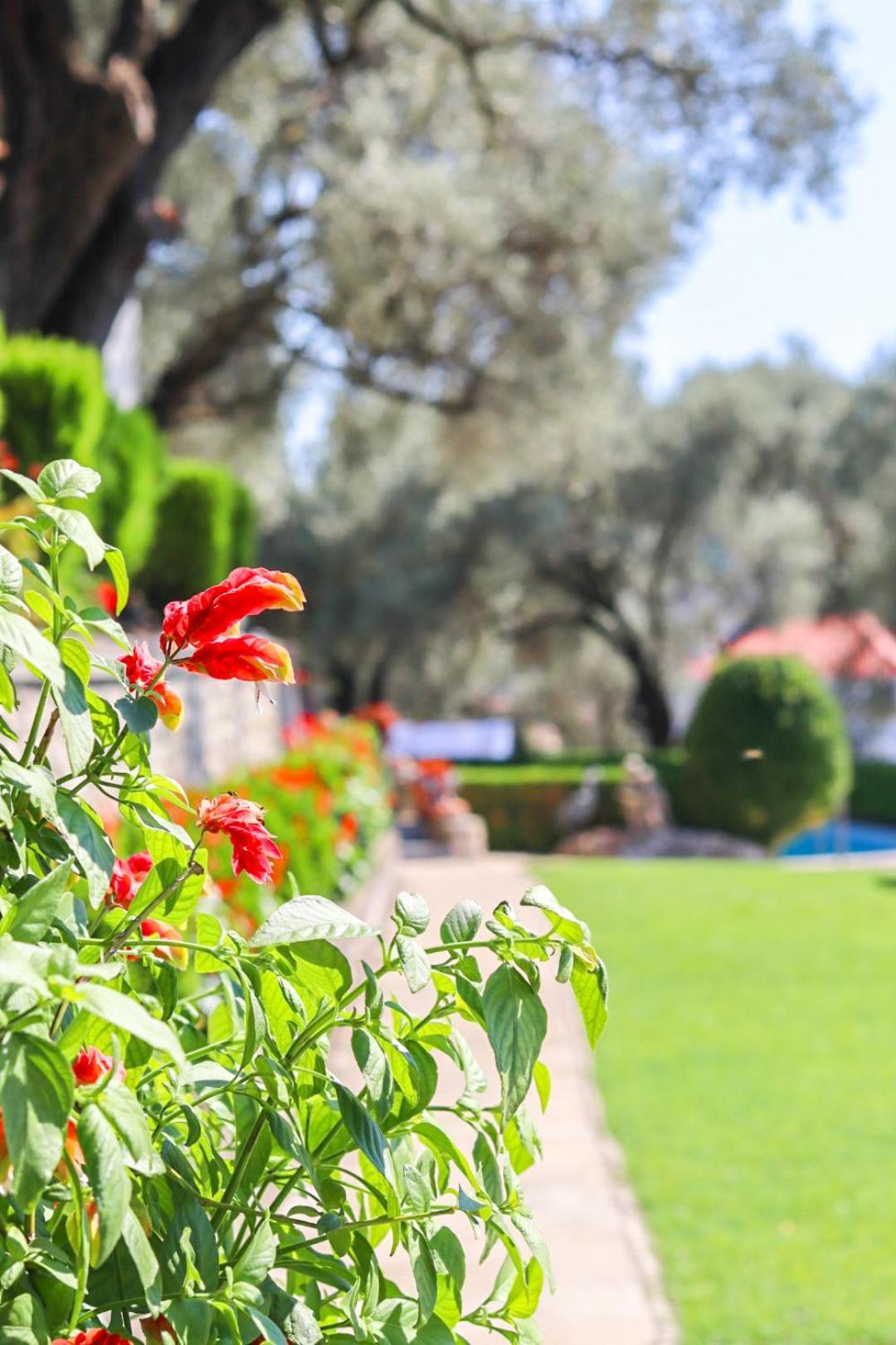 Hilja'S Oliven Garden Bungalows أولتْسي المظهر الخارجي الصورة