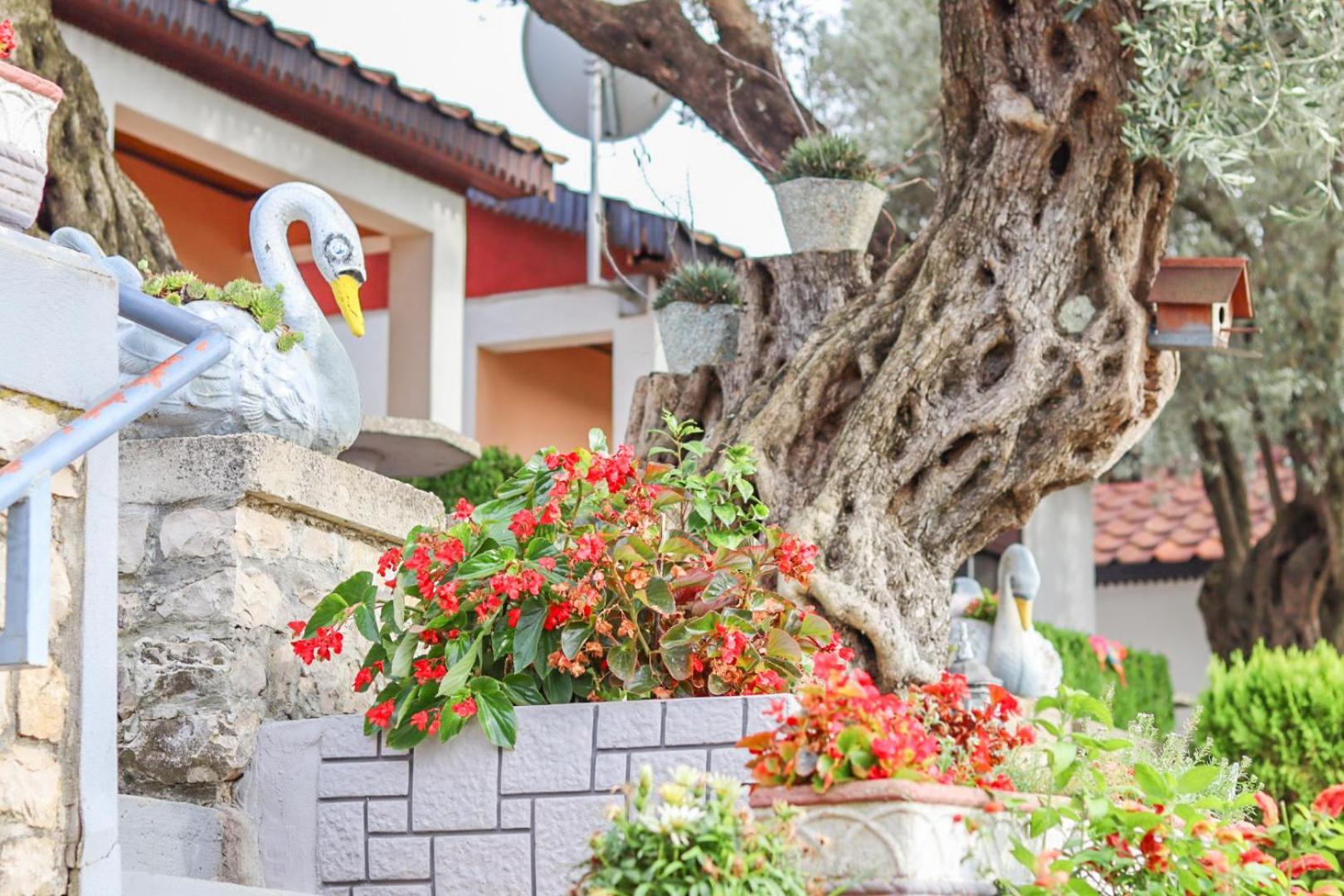 Hilja'S Oliven Garden Bungalows أولتْسي المظهر الخارجي الصورة