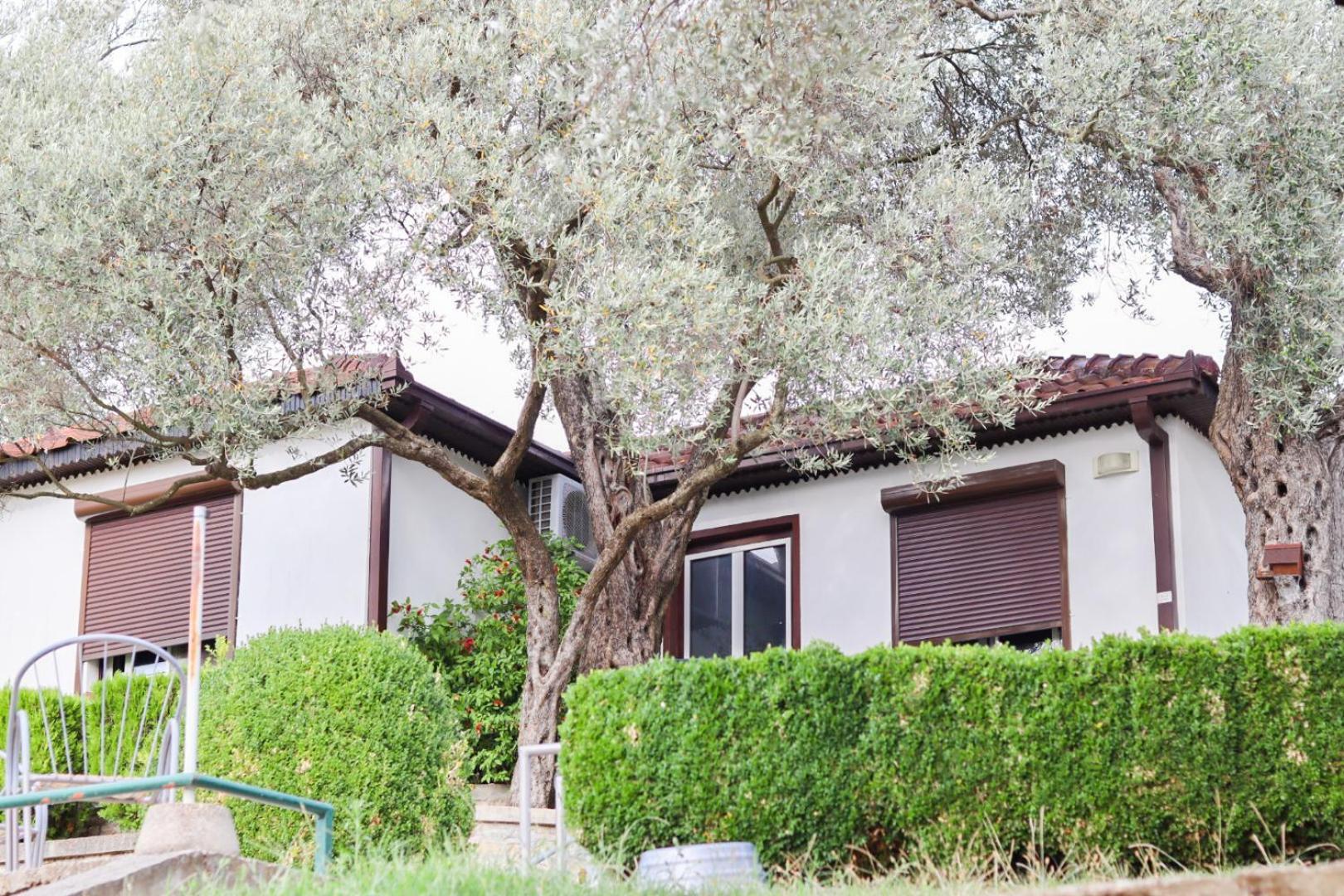 Hilja'S Oliven Garden Bungalows أولتْسي المظهر الخارجي الصورة