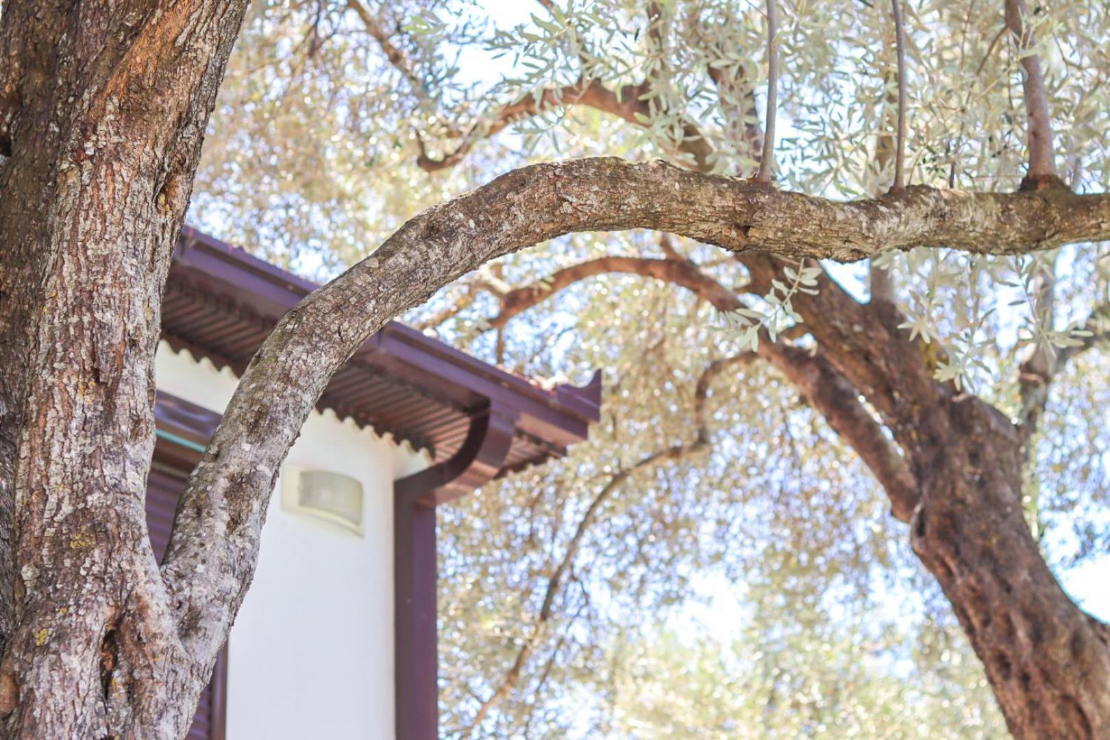 Hilja'S Oliven Garden Bungalows أولتْسي المظهر الخارجي الصورة