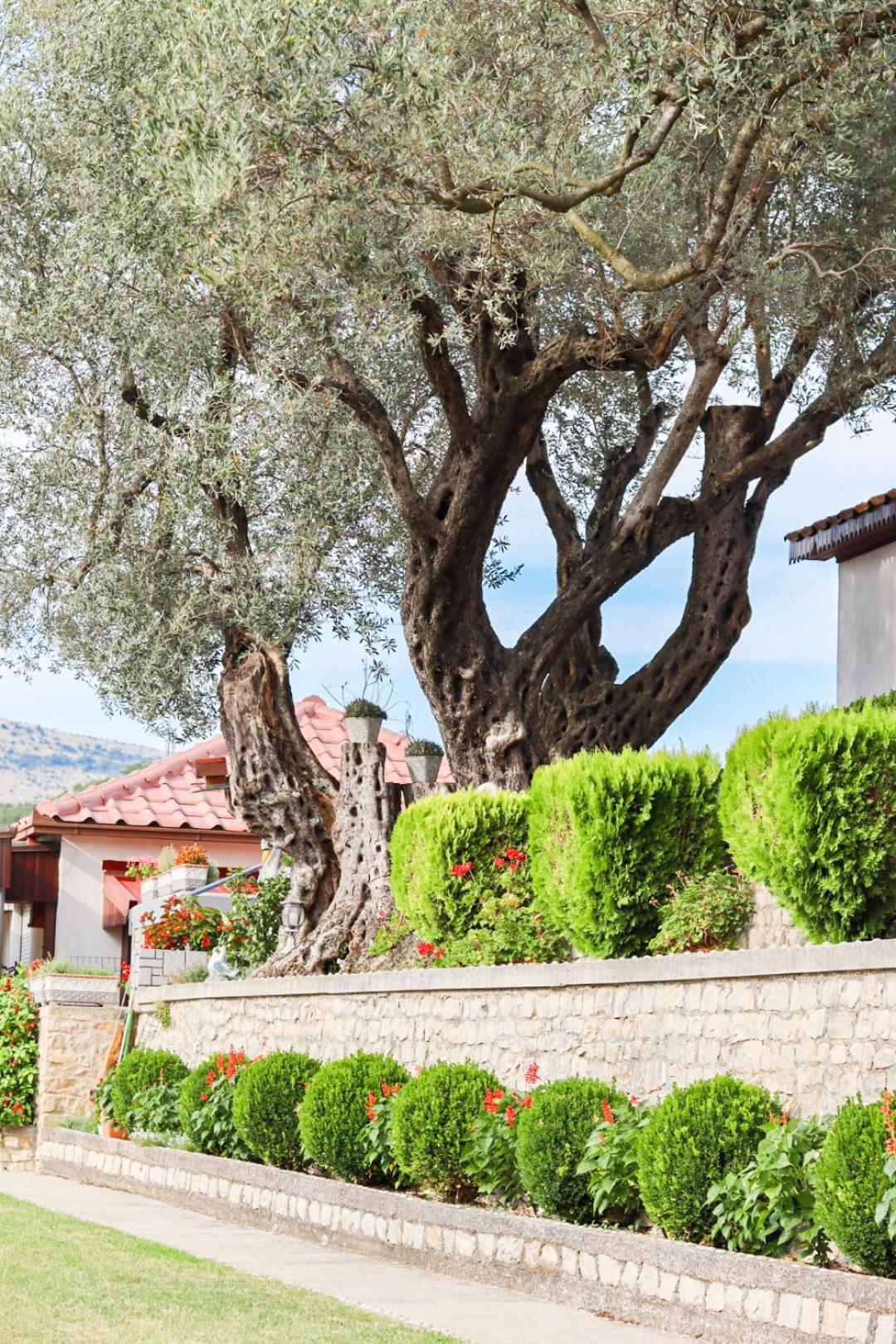 Hilja'S Oliven Garden Bungalows أولتْسي المظهر الخارجي الصورة