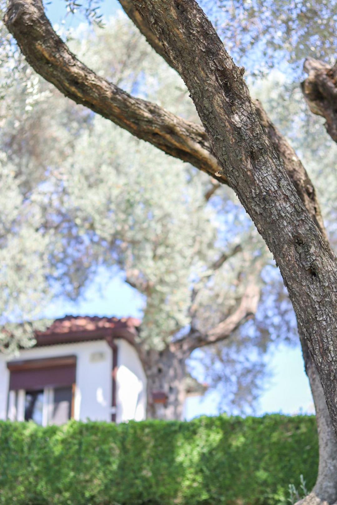 Hilja'S Oliven Garden Bungalows أولتْسي المظهر الخارجي الصورة