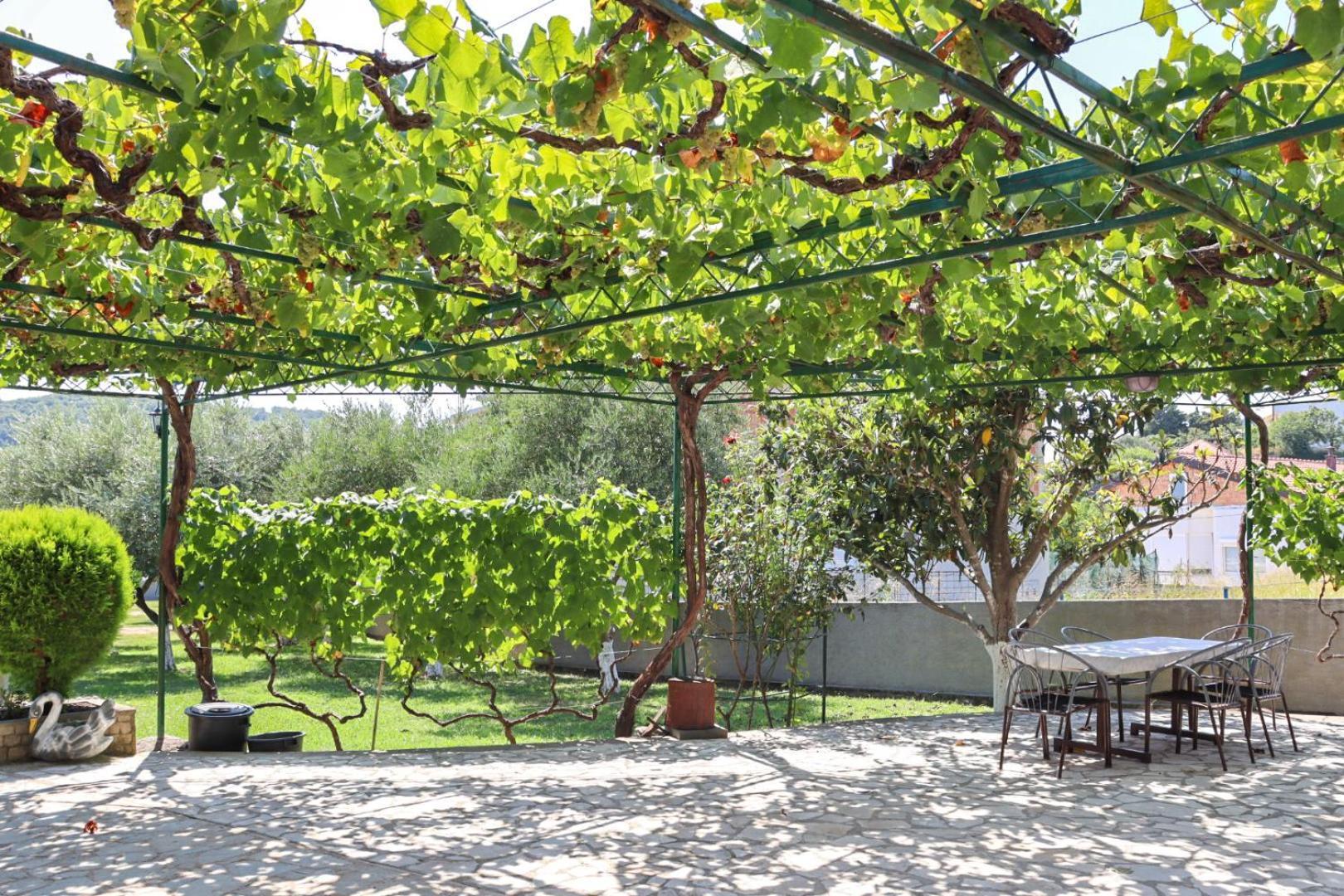 Hilja'S Oliven Garden Bungalows أولتْسي المظهر الخارجي الصورة
